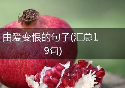 由爱变恨的句子(汇总19句)