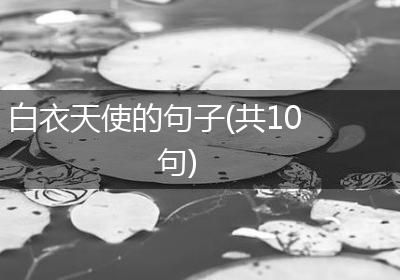 白衣天使的句子(共10句)