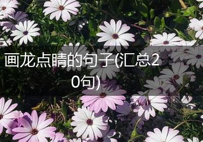 画龙点睛的句子(汇总20句)