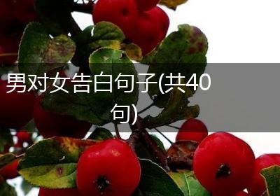 男对女告白句子(共40句)