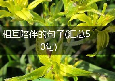 相互陪伴的句子(汇总50句)