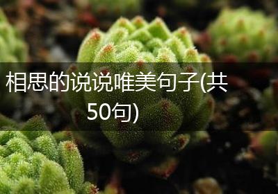 相思的说说唯美句子(共50句)