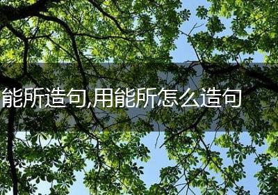 能所造句,用能所怎么造句