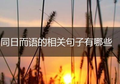 同日而语的相关句子有哪些