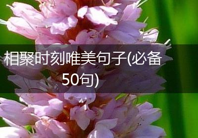 相聚时刻唯美句子(必备50句)