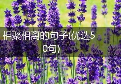 相聚相离的句子(优选50句)