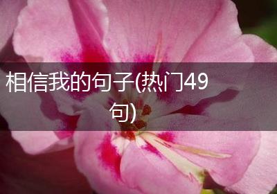 相信我的句子(热门49句)