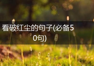 看破红尘的句子(必备50句)