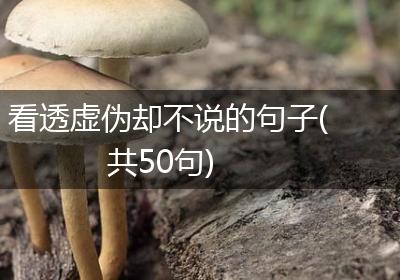 看透虚伪却不说的句子(共50句)