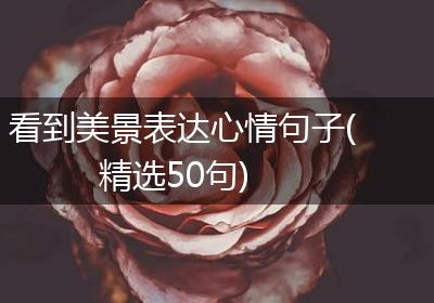 看到美景表达心情句子(精选50句)