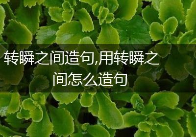 转瞬之间造句,用转瞬之间怎么造句