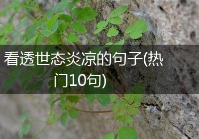 看透世态炎凉的句子(热门10句)