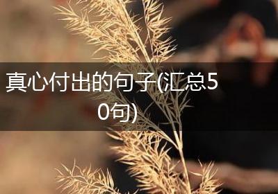 真心付出的句子(汇总50句)