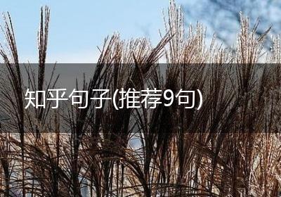 知乎句子(推荐9句)