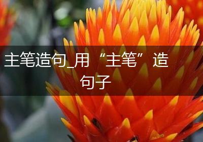 主笔造句_用“主笔”造句子