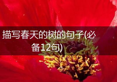描写春天的树的句子(必备12句)
