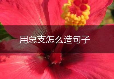 用总支怎么造句子