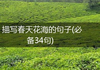 描写春天花海的句子(必备34句)