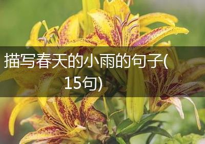 描写春天的小雨的句子(15句)