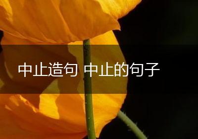 中止造句 中止的句子