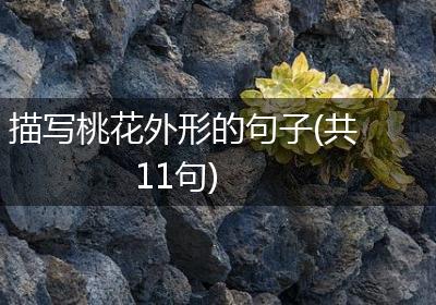 描写桃花外形的句子(共11句)