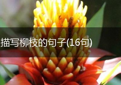 描写柳枝的句子(16句)
