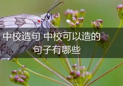 中校造句 中校可以造的句子有哪些