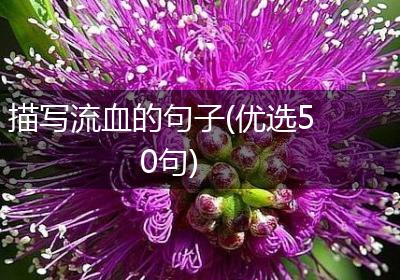 描写流血的句子(优选50句)