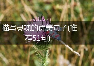 描写灵魂的优美句子(推荐51句)