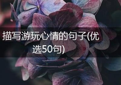 描写游玩心情的句子(优选50句)