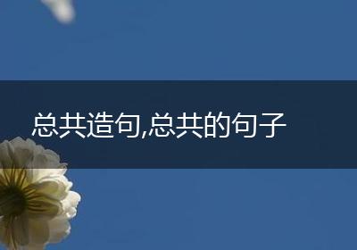 总共造句,总共的句子
