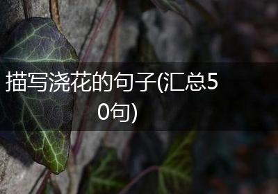 描写浇花的句子(汇总50句)
