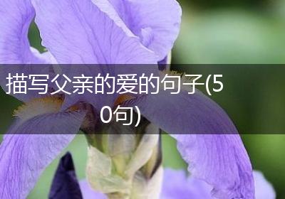 描写父亲的爱的句子(50句)