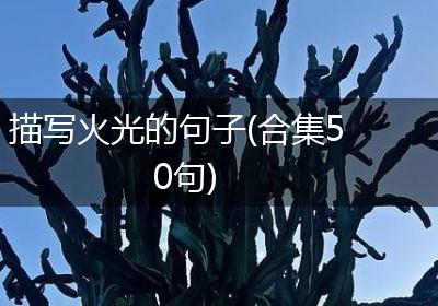 描写火光的句子(合集50句)