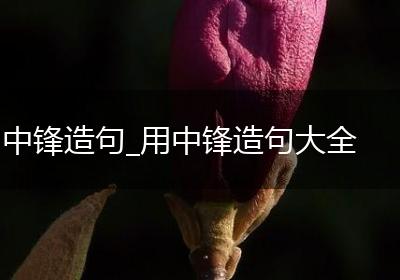 中锋造句_用中锋造句大全
