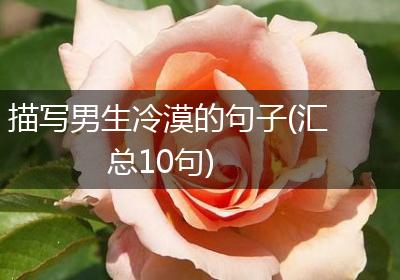 描写男生冷漠的句子(汇总10句)