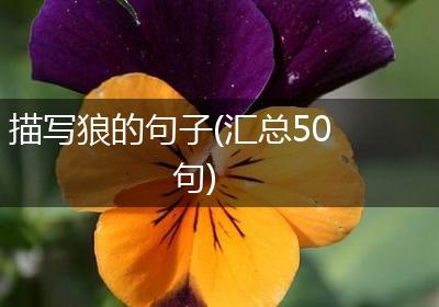 描写狼的句子(汇总50句)