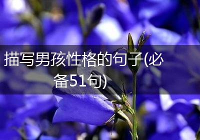 描写男孩性格的句子(必备51句)
