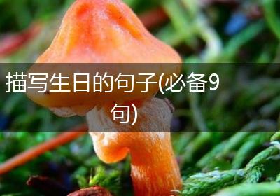 描写生日的句子(必备9句)