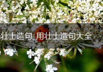 壮士造句_用壮士造句大全