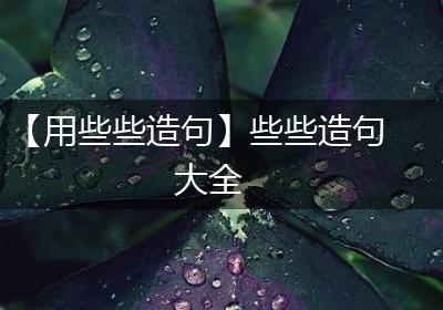 【用些些造句】些些造句大全