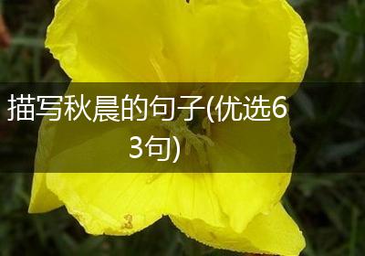 描写秋晨的句子(优选63句)