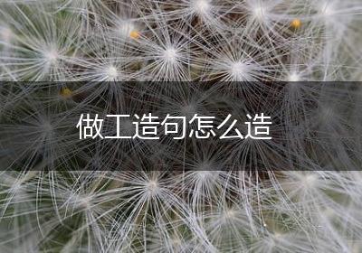 做工造句怎么造