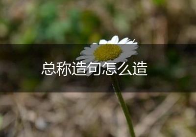 总称造句怎么造