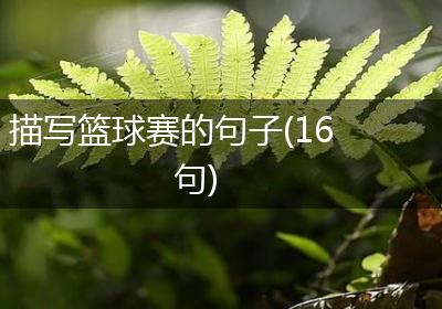 描写篮球赛的句子(16句)