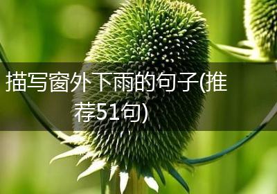描写窗外下雨的句子(推荐51句)
