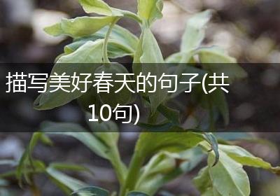 描写美好春天的句子(共10句)