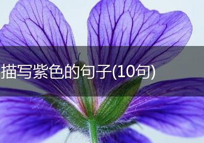 描写紫色的句子(10句)
