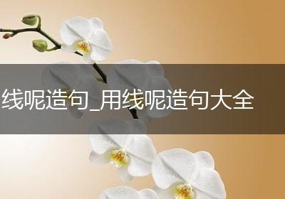 线呢造句_用线呢造句大全