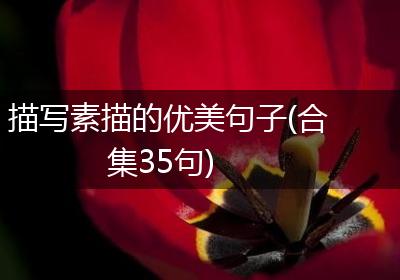 描写素描的优美句子(合集35句)